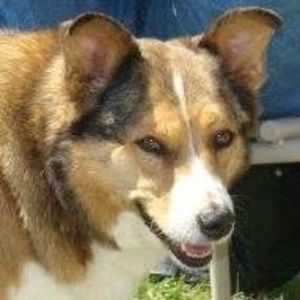 Meet your Posher, Tonya